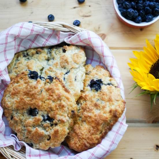 Blueberry Chocolate Cream Cheese Scones