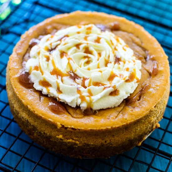 Spice Pumpkin Cheesecake