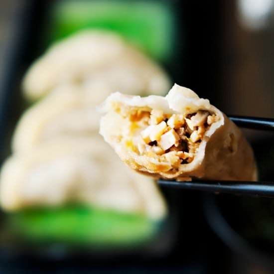 Vegetarian Chinese Potstickers