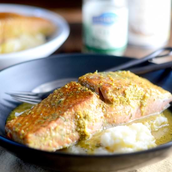 Mustard Salmon