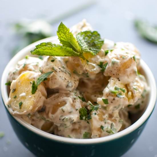 Baby Potato Salad