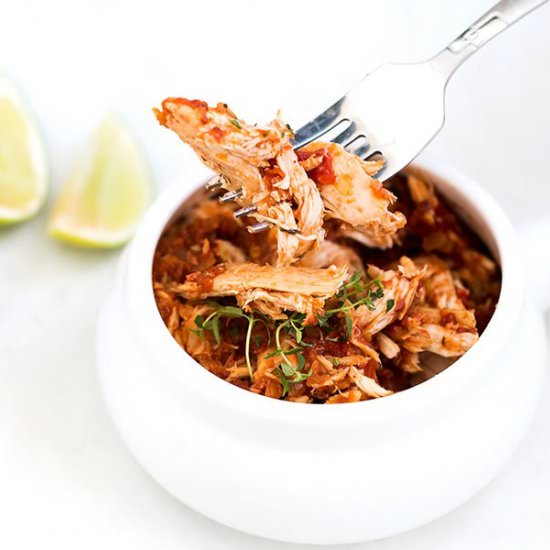 Crock-Pot Salsa Chicken