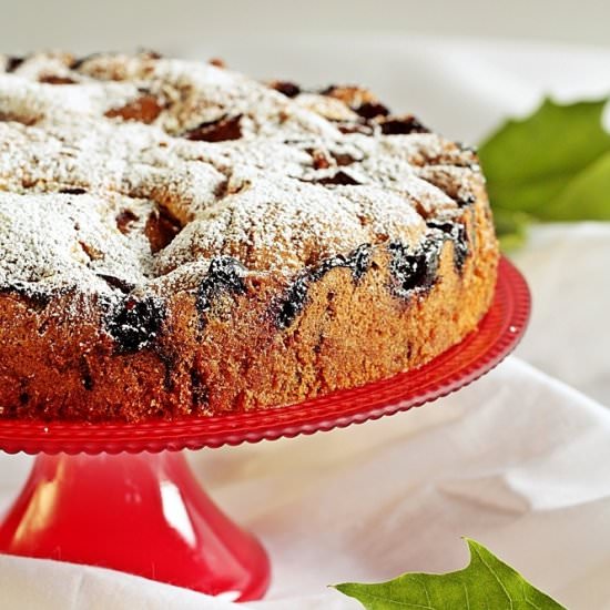 Plum and Chocolate Cake