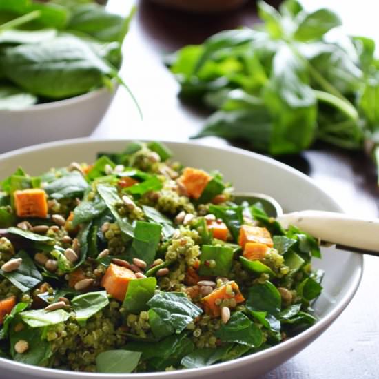Quinoa Salad w/ Pesto & Sweet Potato