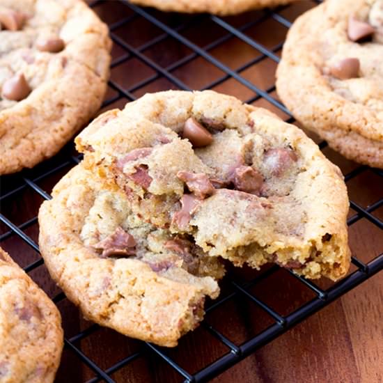 Ultimate Chocolate Chip Cookie