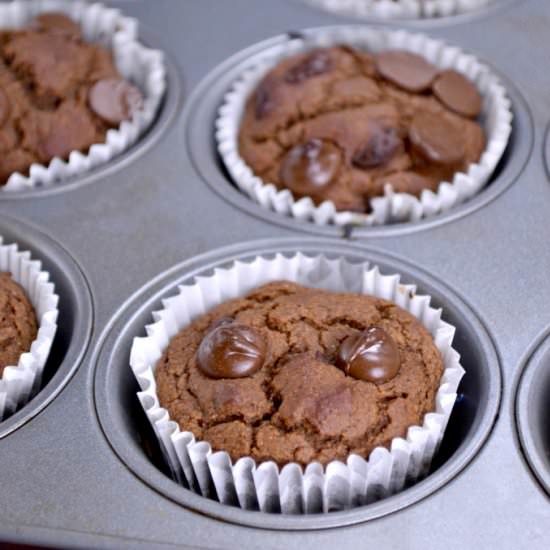 Chocolate Chocolate Chip Muffins
