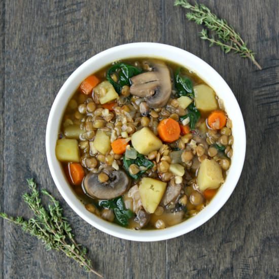 Rustic Lentil and Potato Soup