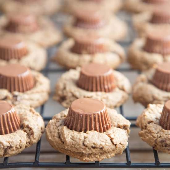 Chocolate Peanut Butter Blossoms