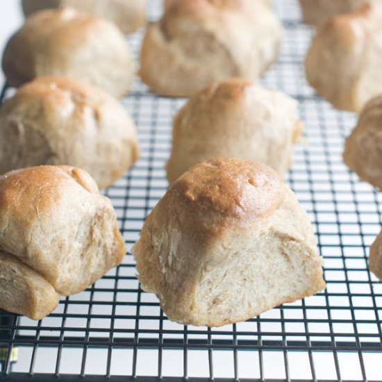 35-Minute Yeast Dinner Rolls