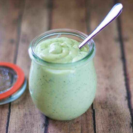 Cilantro and Ginger Avocado Cream