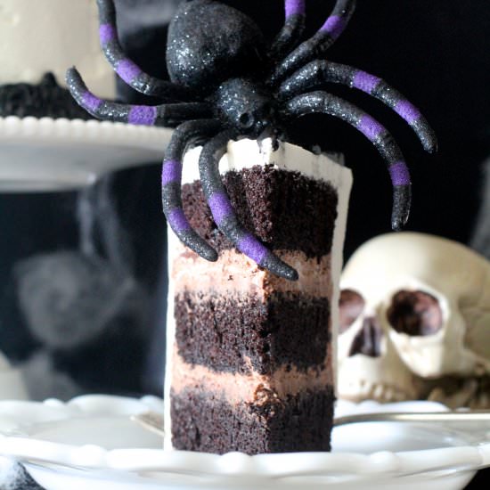 Spooky Spider Cake