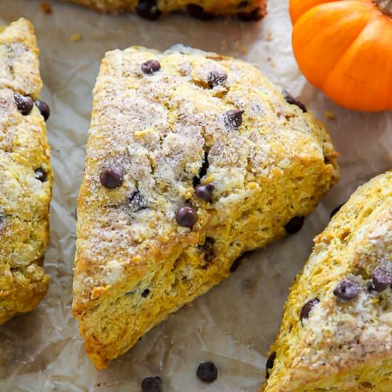 Chocolate Chip Pumpkin Scones