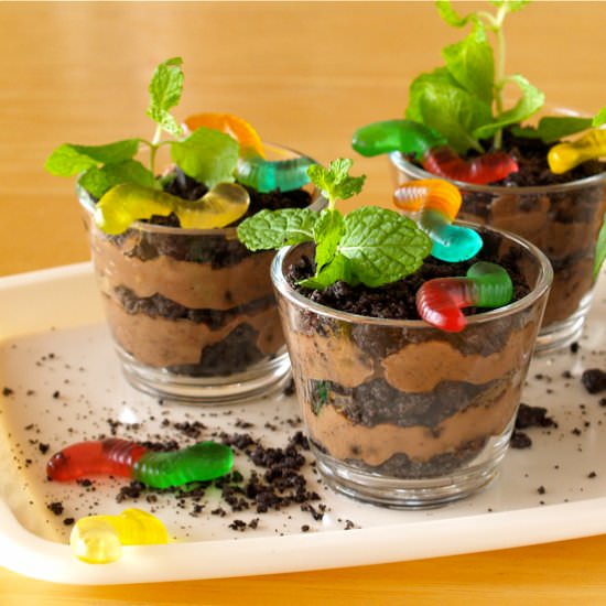 Dirt Cups with Worms