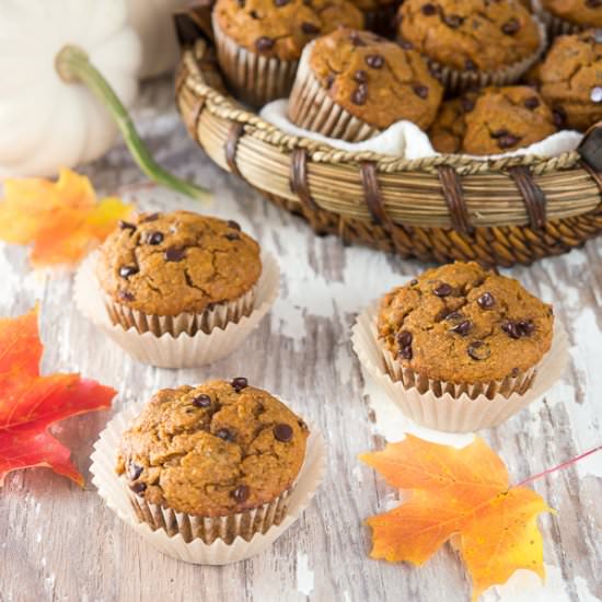 Pumpkin Chocolate Chip Muffins