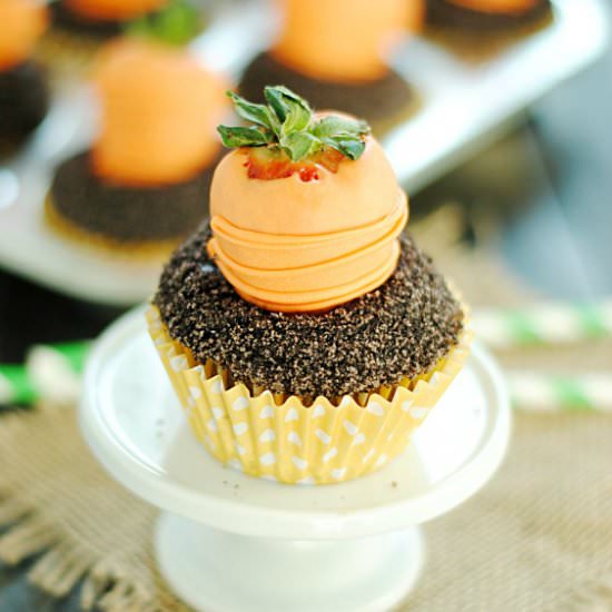 Carrots & Dirt Cupcakes