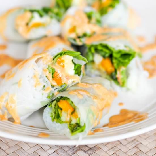 Vegan Mango and Avocado Summer Roll