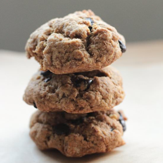 Gluten Free Carob Chip Cookies