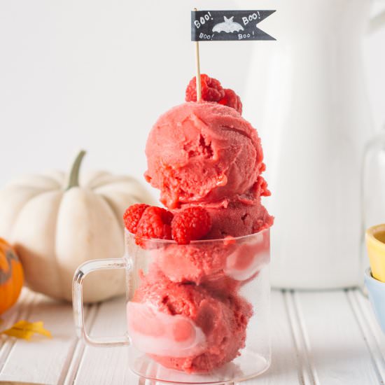 Coconut Raspberry Sorbet