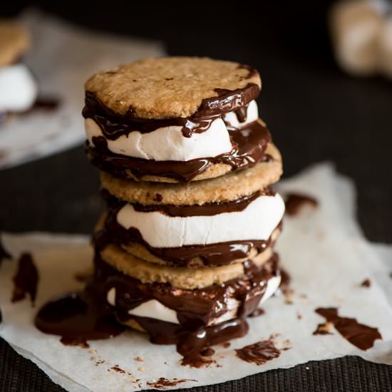 Dark Chocolate Digestive Biscuits