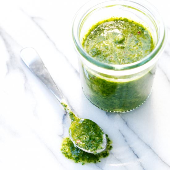 Cilantro Chimichurri Sauce