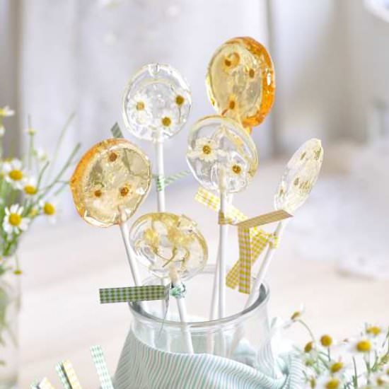 Chamomile Lollipop