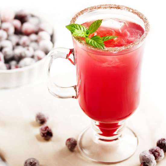Cranberry Ginger Fizz Cocktail