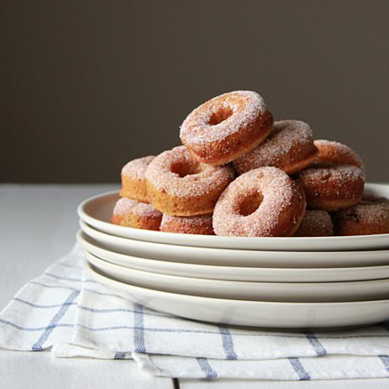 Baked Pumpkin Spiced Donuts