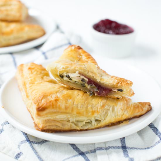 Turkey and Cranberry Turnovers