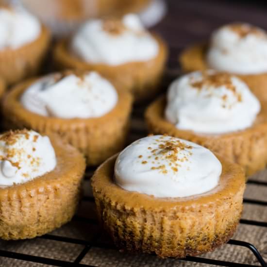 Mini Pumpkin Cheesecakes