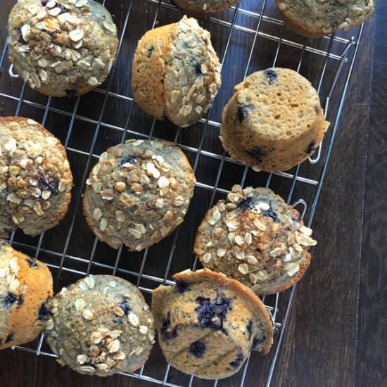 Blueberry Oatmeal Muffins