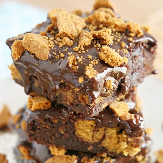 Biscoff Pumpkin Brookies Bars