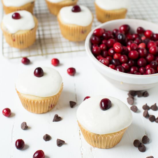Cranberry Chocolate Chip Cupcakes