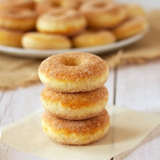 Skinny Old Fashioned Cake Donuts