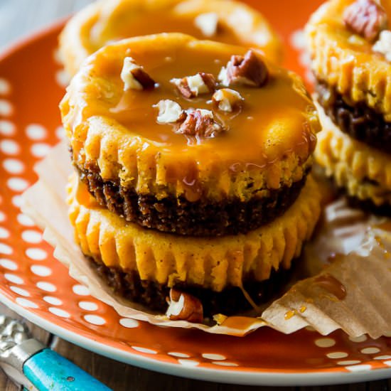 Salted Caramel Pumpkin Cheesecakes