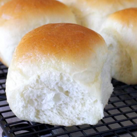 Soft and Fluffy Dinner Rolls