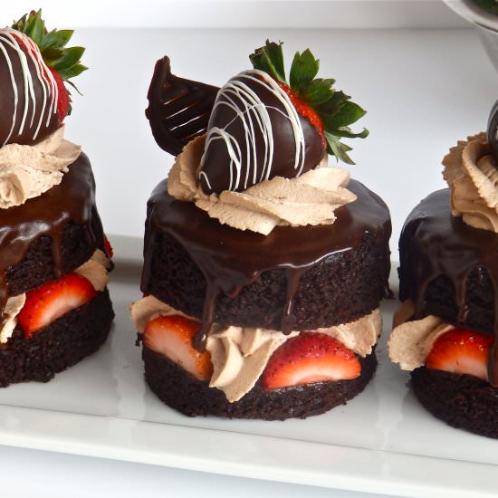 The BEST Devils Food Cake
