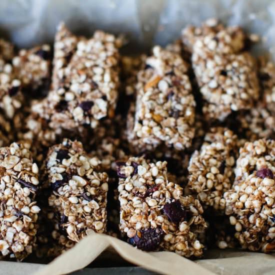 Vegan No Bake Granola Bars
