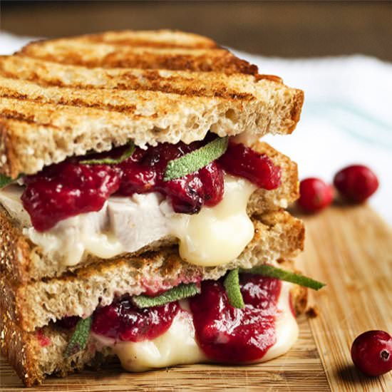 Brie, Turkey, and Cranberry Panini
