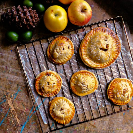 APPLE HAND PIES