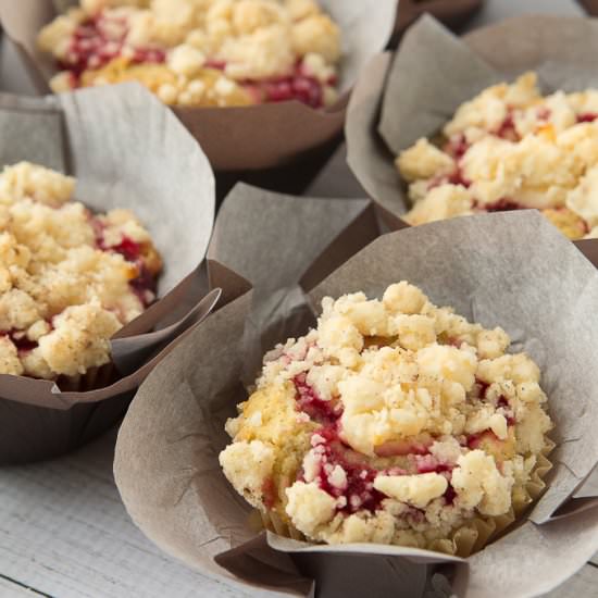 GF Cranberry Orange Muffins
