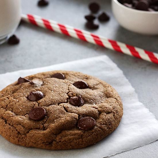 Single Serve Gingerbread Cookie