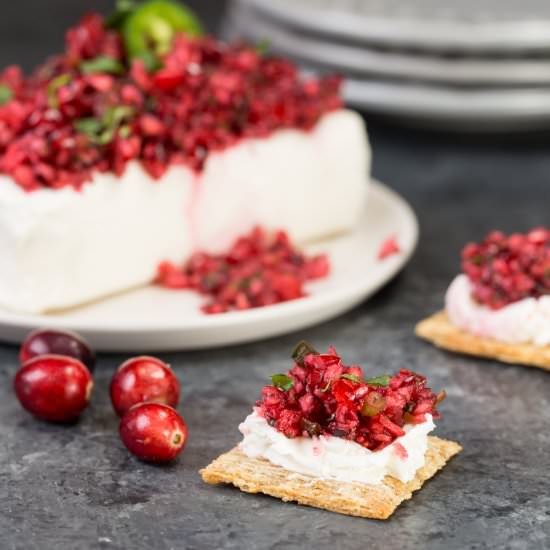 Spicy Cranberry Salsa