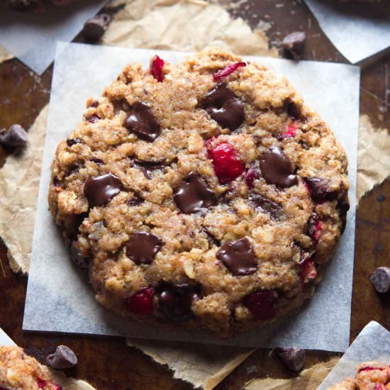 Chocolate Cranberry Oatmeal Cookies