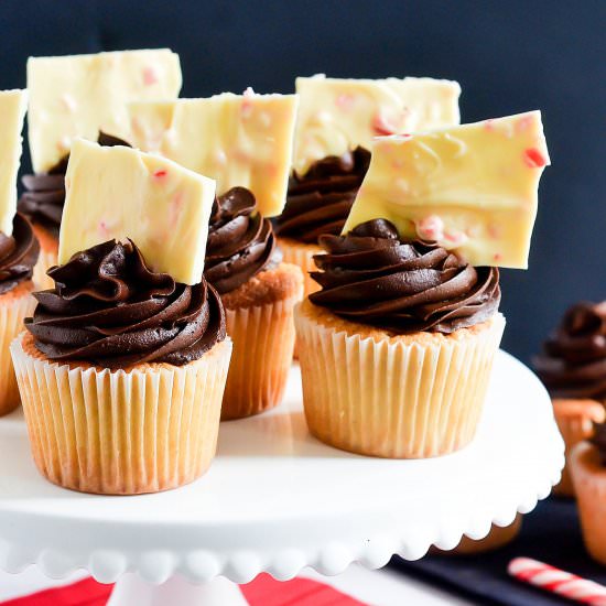 Frosted Cupcakes & Candy Cane Bark