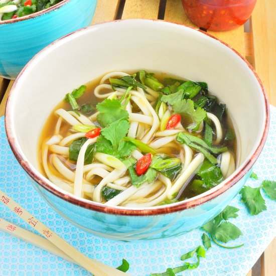 Asian Turkey Noodle Soup