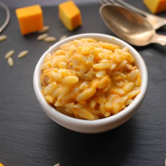 Butternut Squash Cream Sauce & Orzo