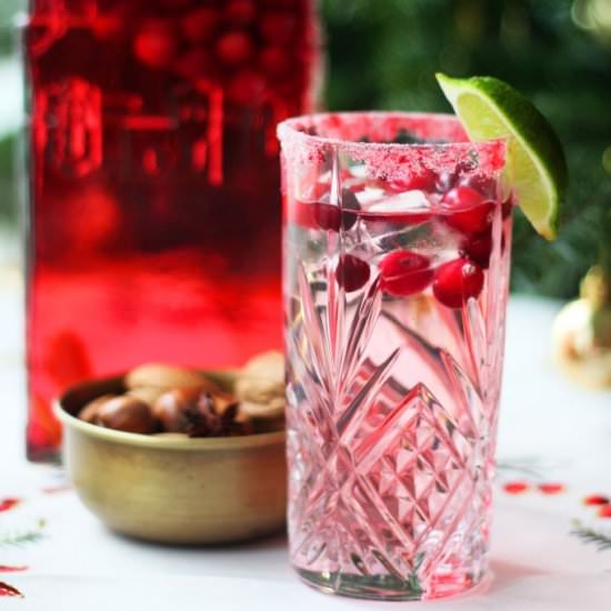 Cranberry Gin and Tonic