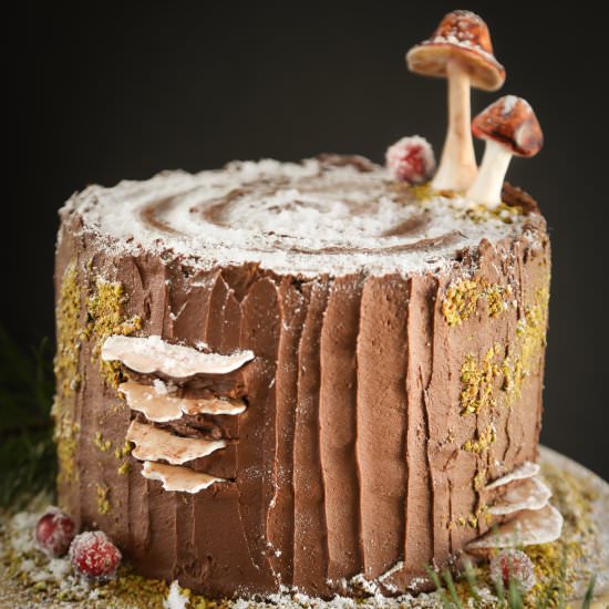 Stump de Noel Cake
