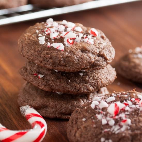 Double Chocolate Peppermint Cookies