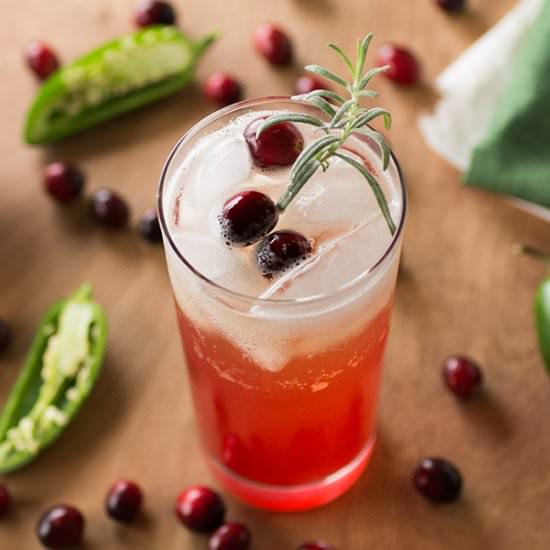 Cranberry-Rosemary Moscow Mule